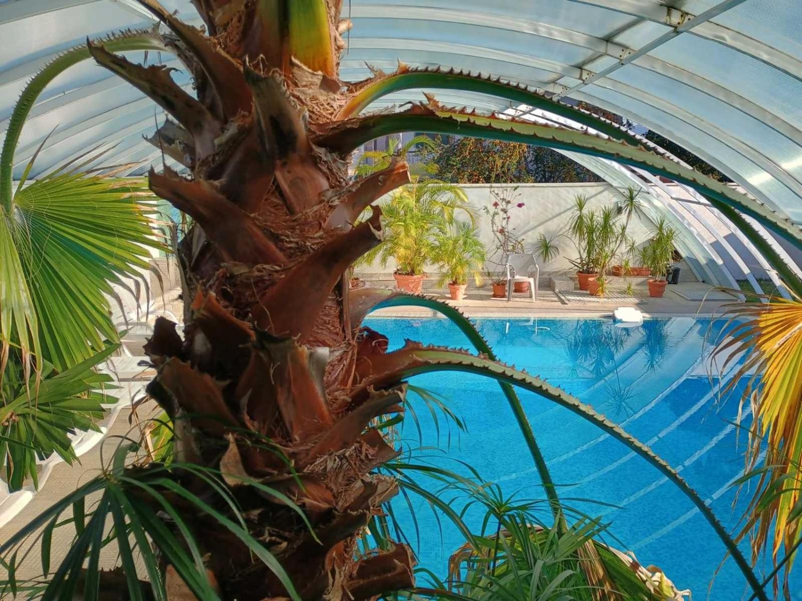 Enis Hotel С Минерален Басейн サパレヴァ・バニャ エクステリア 写真